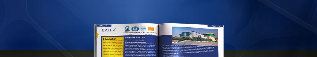 Catalog and Brochure